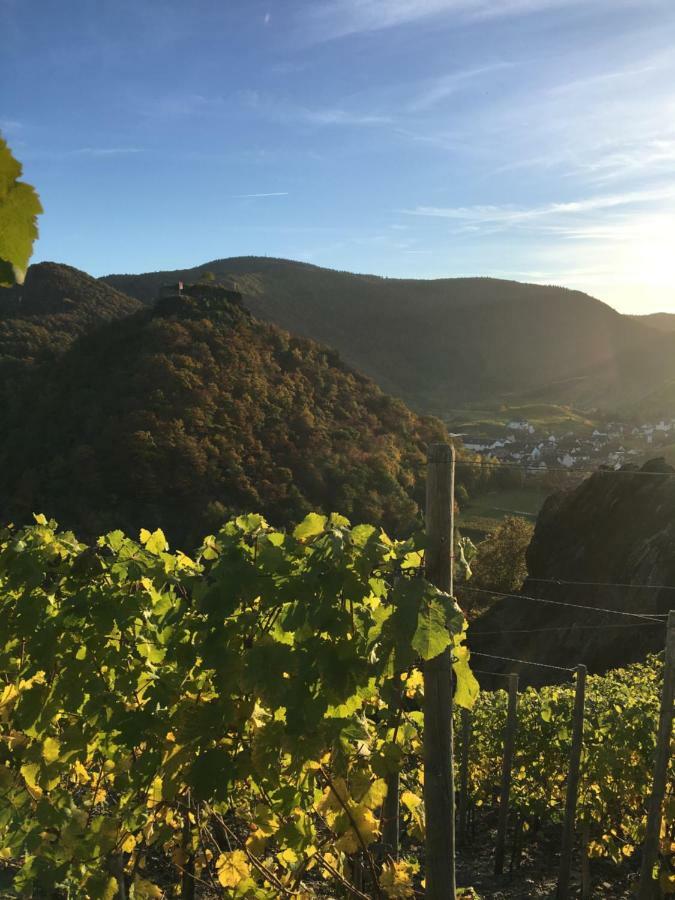 Stadthotel Arte Remagen Dış mekan fotoğraf